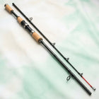 Přívlačový prut PikePro Spin 2,4 m