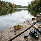 Wobler PikePro Perch 9 cm